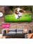 Çimlerde Koşan Köpek Cavalier King Charles Spaniel / Çocuk Odası Kanvas Tablo 1