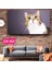 Meraklı Kedi / Çocuk Odası Tablo 1