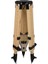 Tripod Planet Small Celestron Cgx-L 1