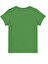 U.S. Polo Assn. Erkek Çocuk Elma Yeşili T Shirt Basic 50247351-VR020