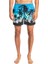 Everyday Paradise 15" Erkek Deniz Şortu EQYJV03861 2