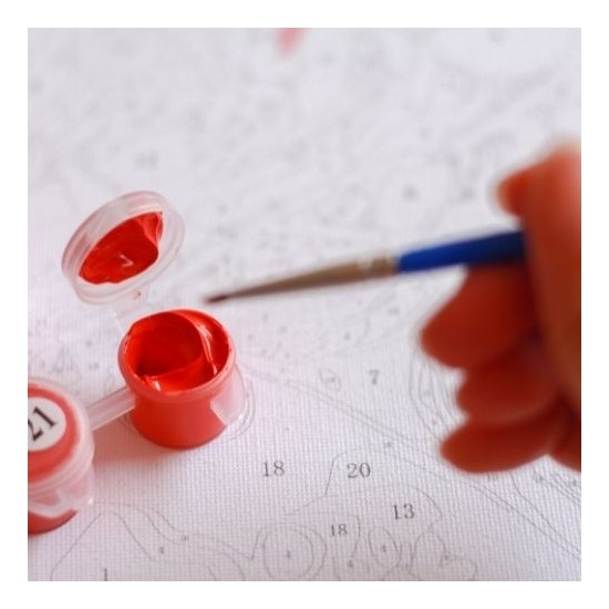 Anl Canvas Orman ve Yüzen Balıklar Sayılarla Boyama Seti Fiyatı