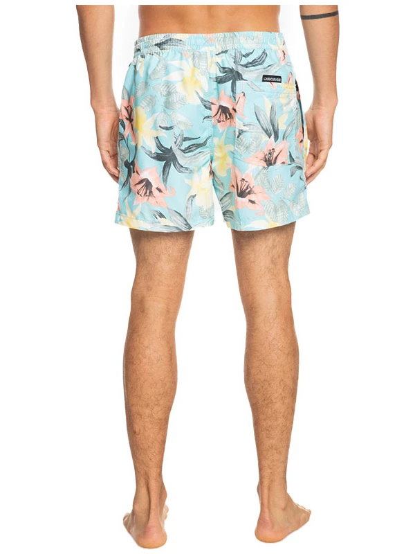 Quiksilver Everyday Garden Path 15 Erkek Deniz Şortu EQYJV03867