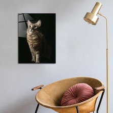 Decorita Hayvanlar | Cam Tablo | Kedi | 30cm x 40cm