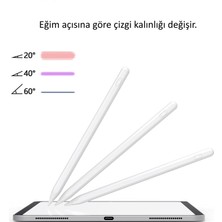 Fuchsia FSKL05 Stylus Yedek Uç Palm Rejection Eğimle Çizgi Kalınlığı Değişen Yedek Kalem Ucu Pen Spare Tip