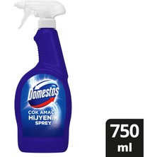 Domestos Hijyenik Temizlik Spreyi Çok Amaçlı 750 ML 1 Adet