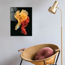 Decorita Hayvanlar | Cam Tablo | Balık | 30cm x 40cm