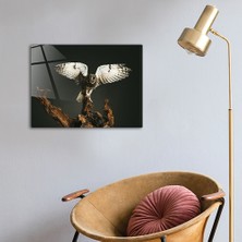 Decorita Hayvanlar | Cam Tablo | Baykuş - Kanatları Açık | 30cm x 40cm