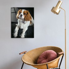 Decorita Hayvanlar | Cam Tablo | Köpek | 30cm x 40cm