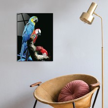 Decorita Hayvanlar | Cam Tablo | Renkli Papağanlar | 30cm x 40cm