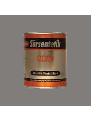 Genç Gen Sürsentetik Yağlı Boya Beyaz 2,700 KG