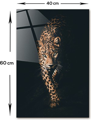 Decorita Hayvanlar | Cam Tablo | Leopar | 40cm x 60cm