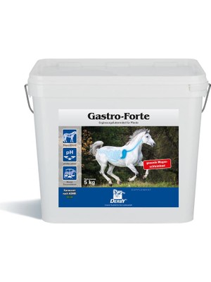 Derby Gastro Forte 5 kg