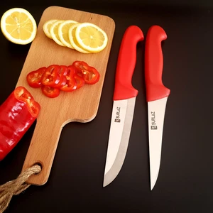 Red Mutfak Bıçak Seti Et Bıçağı Sebze Bıçağı Meyve Bıçağı 2'li