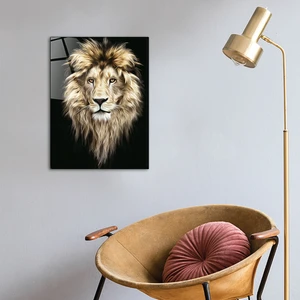 Hayvanlar | Cam Tablo | Aslan | 40cm x 60cm