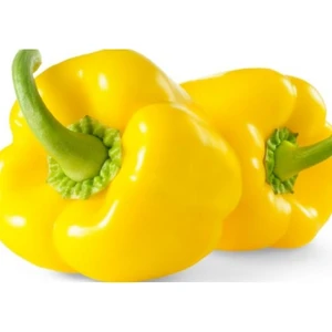 Köy Tohumları 100 Adet Nadir Sarı Kaliforniya Californiya Biber Biberi Tohumu Saksı Toprak