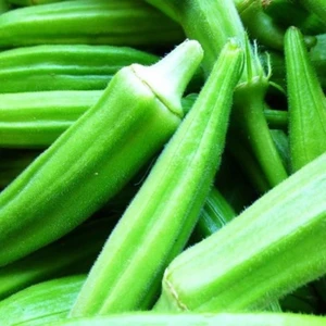 Sultani Bamya Tohumu 10 gr Sultani Okra Seed
