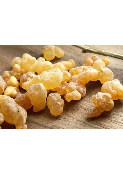Ak Günlük Sakızı 250 gr fiyatları