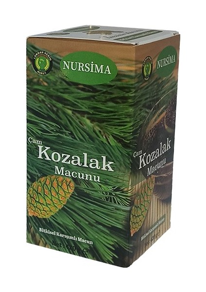 Çam Kozalak Macunu 420 gr