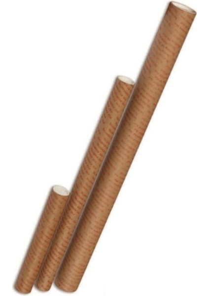 Proje Tüpü 7,6X100 cm Postüp ALX-825