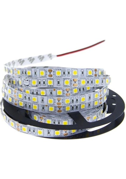 3 Çipli Silikonsuz Rgb Şerit LED Iç Mekan LED 25 Metre