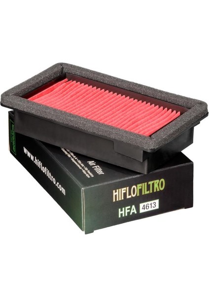 Yamaha Xt 660 R/x Hava Filtre Hıflo