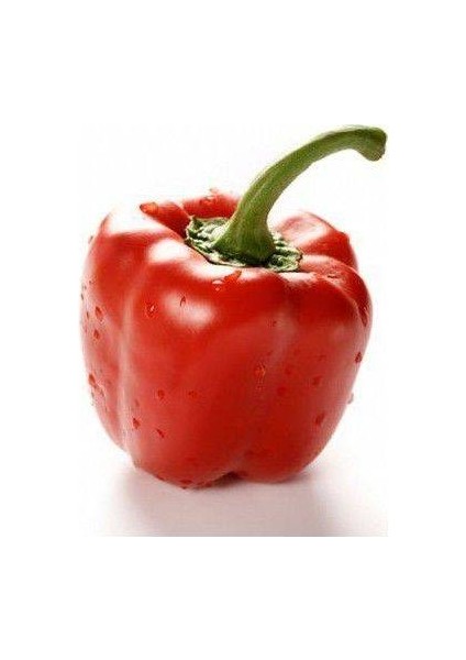 100 Adet Tohum Nadir Kaliforniya Californiya Biberi Tohumu Saksı Toprak