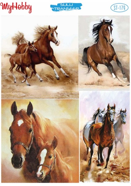 St 179 At Desenli Sulu Transfer 25X35