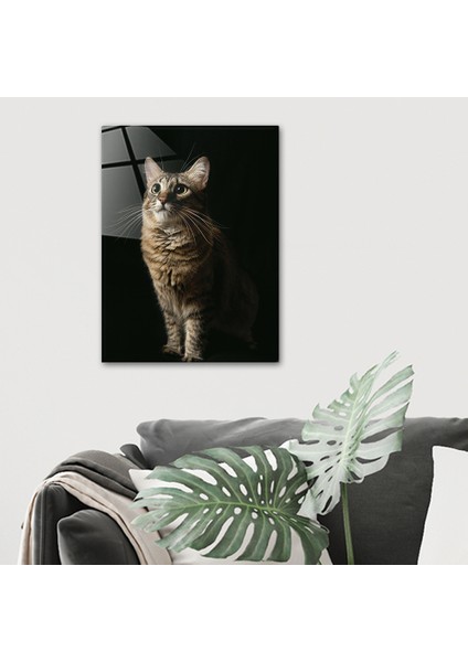 Hayvanlar | Cam Tablo | Kedi | 30cm x 40cm fiyatları