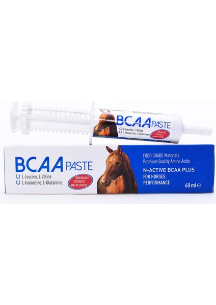 N-Active N Active Bcaa Paste 60 ml