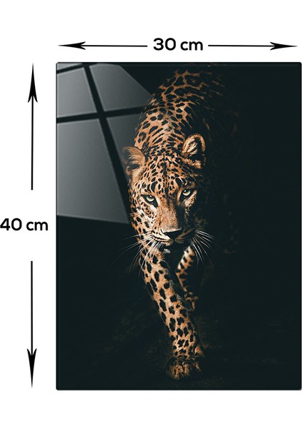 Hayvanlar | Cam Tablo | Leopar | 30cm x 40cm modelleri