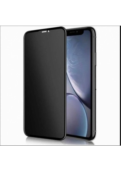 Apple iPhone 12 Mat Ekran Koruyucu Tam Kaplar