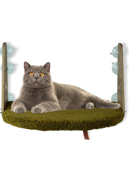 Cam Yatağı Vantuzlu Kedi Cam Yatağı Pugalo Vantuzlu Yatak Yeşil fiyatları