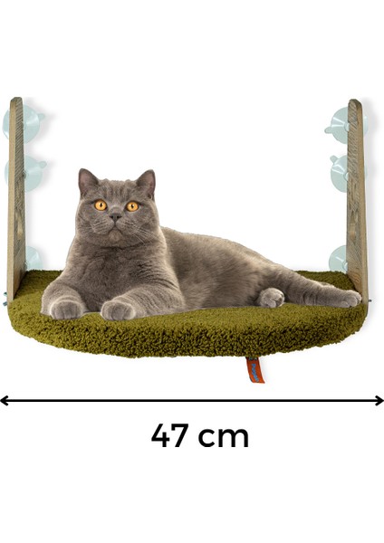 Cam Yatağı Vantuzlu Kedi Cam Yatağı Pugalo Vantuzlu Yatak Yeşil fırsatları