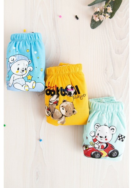 Erkek Bebek 3'lü Erkek Bebek Alıştırma Külodu fiyatları