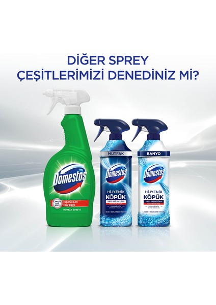 Hijyenik Temizlik Spreyi Çok Amaçlı 750 ML 1 Adet