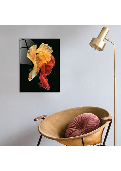 Hayvanlar | Cam Tablo | Balık | 30cm x 40cm