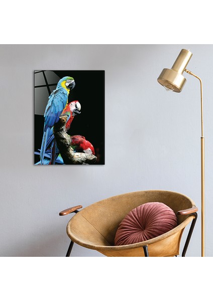 Hayvanlar | Cam Tablo | Renkli Papağanlar | 30cm x 40cm