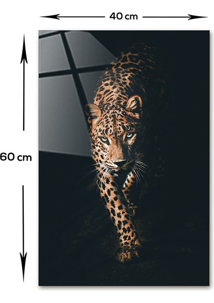 Hayvanlar | Cam Tablo | Leopar | 40cm x 60cm