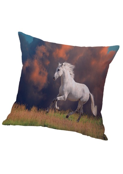 Dekoratif Kırlent Kılıfı 60 x 60 cm (Yurt Dışından)
