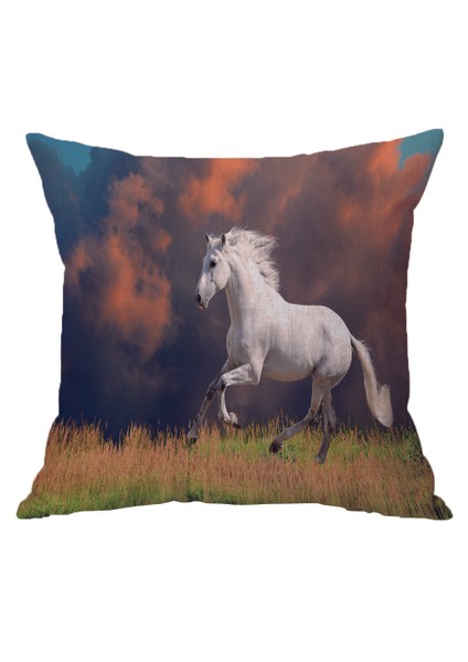 Dekoratif Kırlent Kılıfı 60 x 60 cm (Yurt Dışından) fırsatları