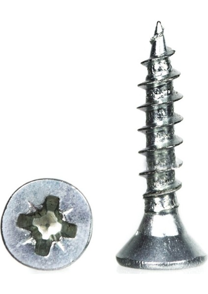5.0X30 Sunta Vidası (200)