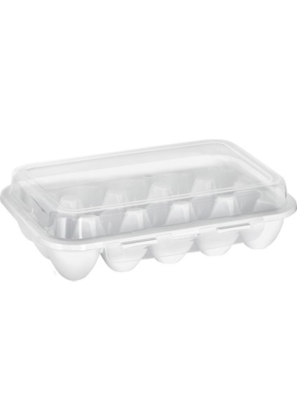 15'li Egg Box Kilit Kapaklı Yumurtalık & Yumurta Kutusu