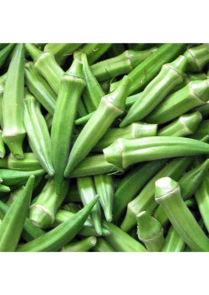 Sultani Bamya Tohumu 10 gr Sultani Okra Seed fiyatları
