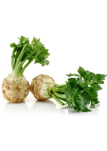 Kereviz Tohumu 10 gr Celery Seed