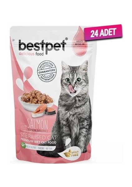 Sterilised Jelly Pouch Somonlu Kedi Maması 85 gr 24'lü