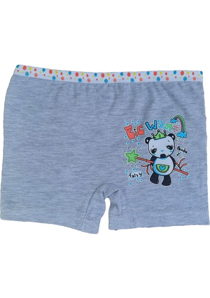 Kız Çocuk Renkli Likralı Pamuklu Boxer Külot 6lı modelleri