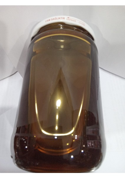 Çam Balı 1 kg modelleri