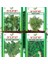 Roka+Tere+Maydanoz+Dereotu 4X25 gr 4'lü Set 1
