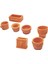 7 Adet Mini Plastik Oyma Bonsai Saksı 1:12 Dollhouse Minyatür (Yurt Dışından) 5